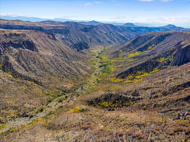 Land for sale in New Mexico