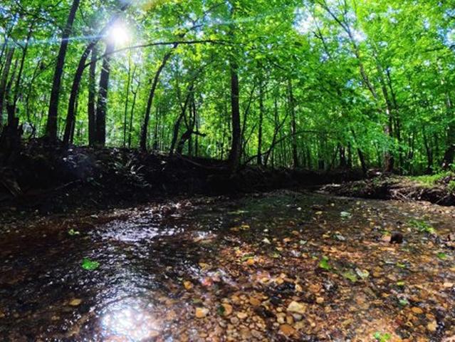 Farm for sale in Tuscumbia, Alabama