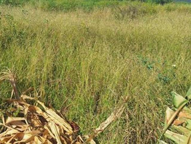 Land for sale in Potgietersrus, Limpopo