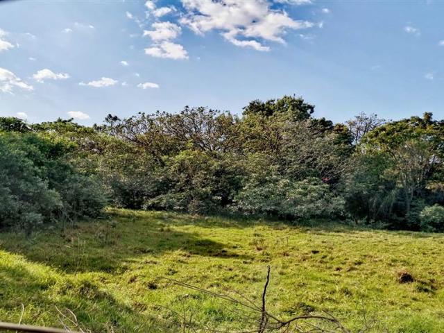 Land for sale in Eastern Cape