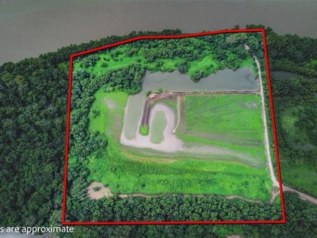 Farm for sale in Eldred, Illinois