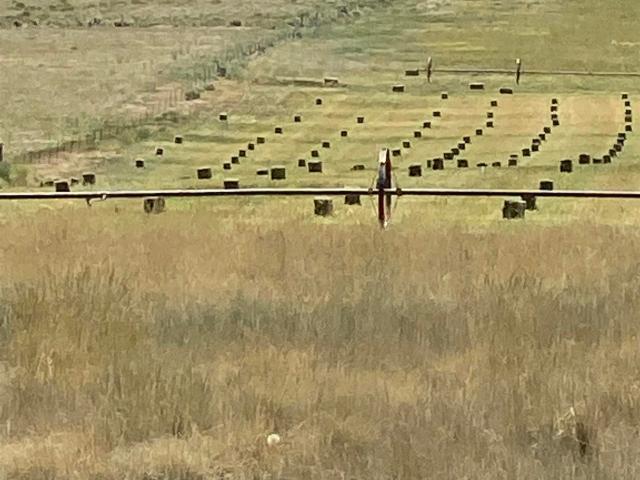 House for sale in Dove Creek, Colorado