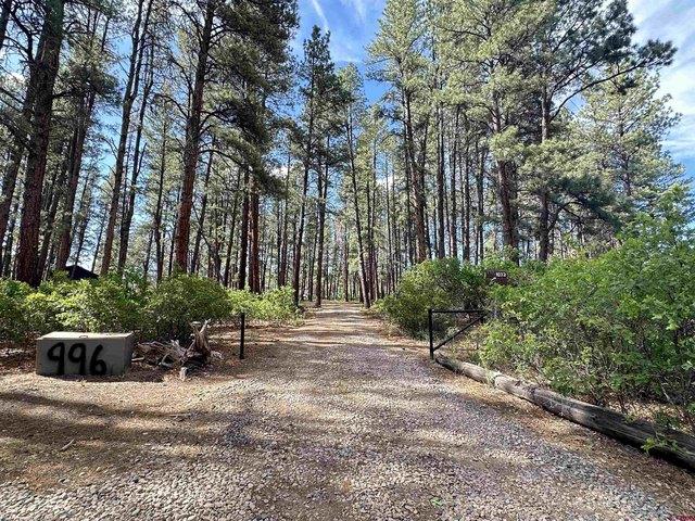 Land for sale in Pagosa Springs, Colorado