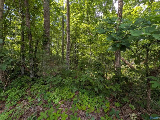 Land for sale in Gurley, Alabama