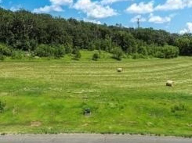 Land for sale in Preston, Minnesota
