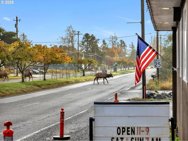 Commercial for sale in Oregonia
