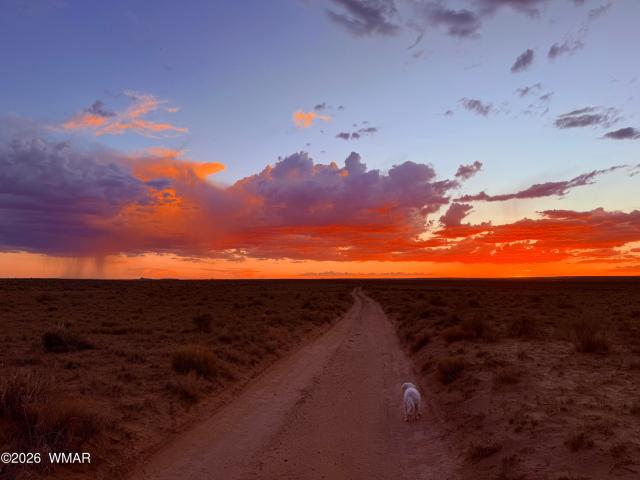Farm for sale in Navajo, Arizona