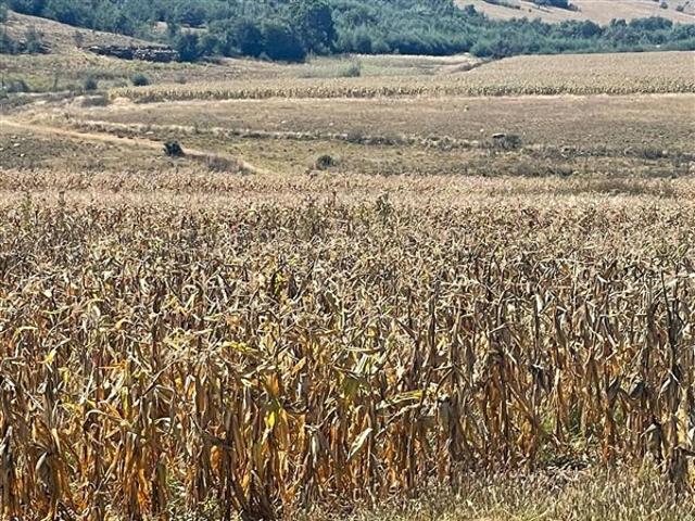 Commercial Land for sale in Mpumalanga