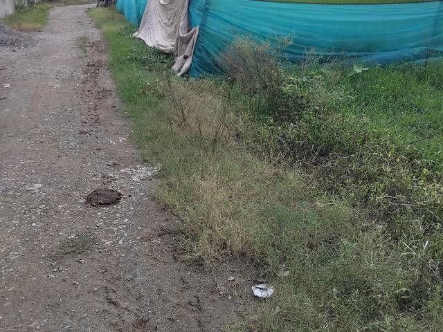 Land for sale in Kedarpur, Uttarakhand