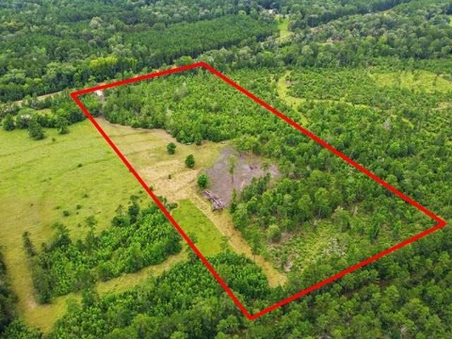 Land for sale in Polk, Texas