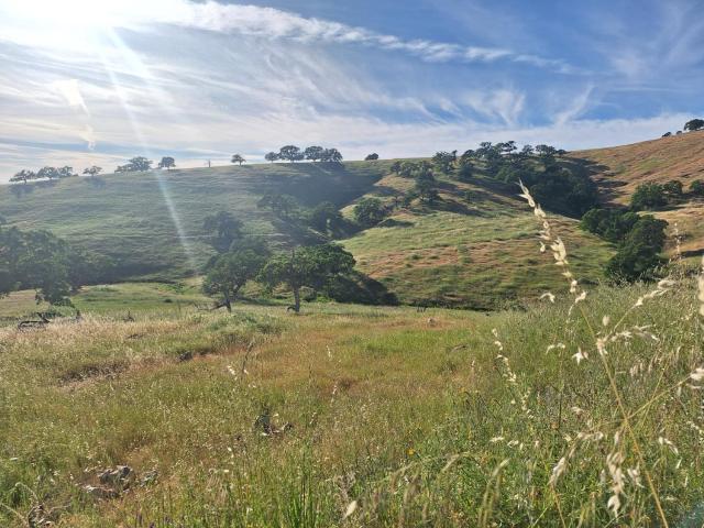 Land for sale in California