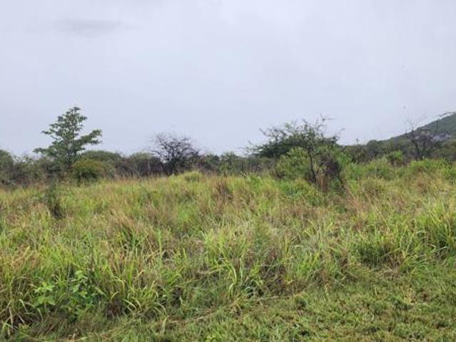 Land for sale in Naboomspruit, Limpopo