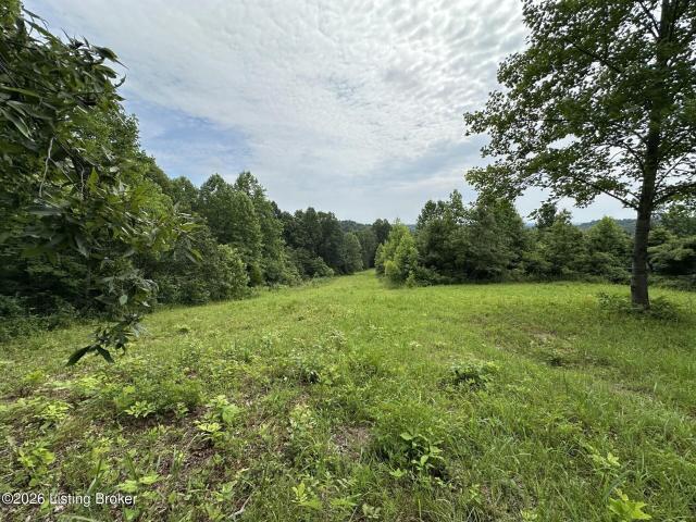 Land for sale in Spike, Clarkson