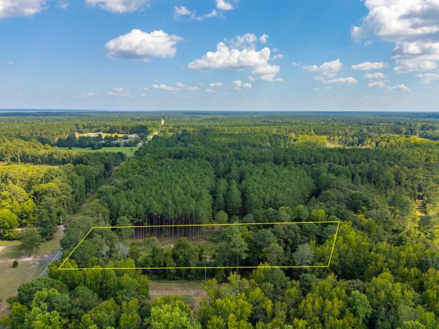 Land for sale in Elloree, South Carolina