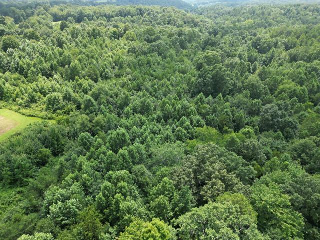 Land for sale in Oakley, East Bernstadt