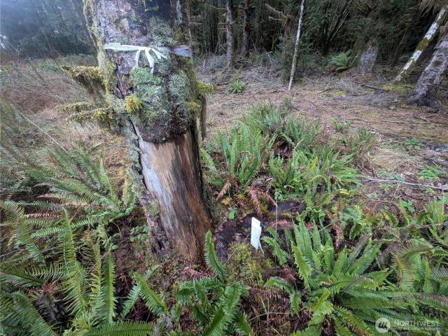 Land for sale in Washington