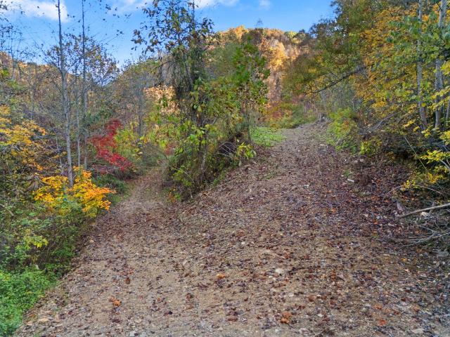 Land for sale in Woollum, Kentucky