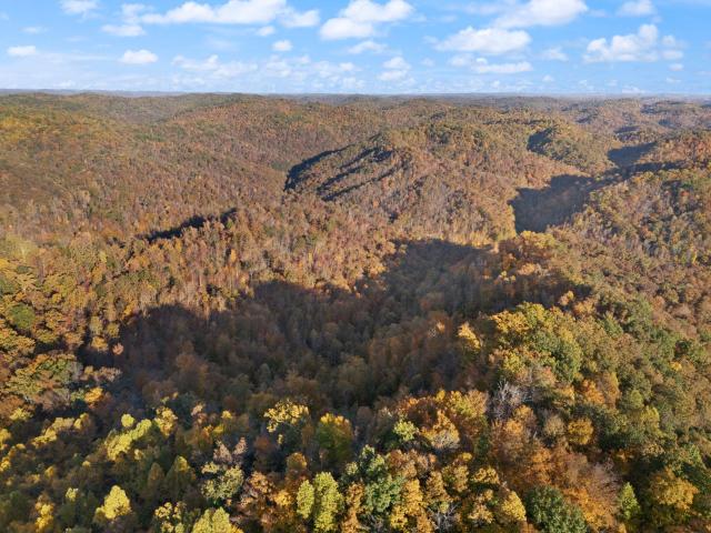 Land for sale in Manchester, Kentucky
