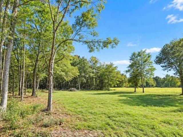 Land for sale in Hemingway, South Carolina