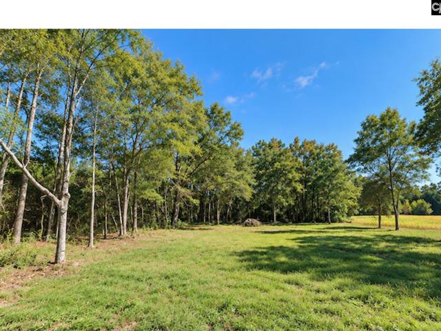 Land for sale in Hemingway, South Carolina