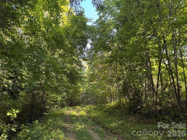 Land for sale in Lansing, North Carolina