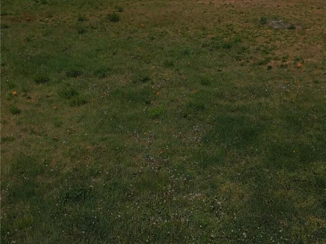 Land for sale in Sequim, Washington