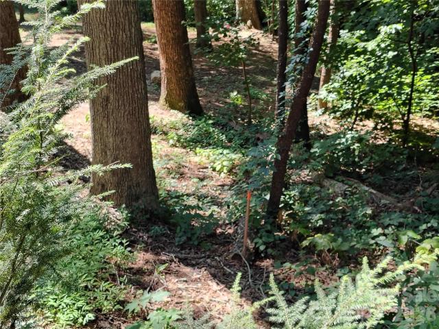 Land for sale in Asheville, North Carolina