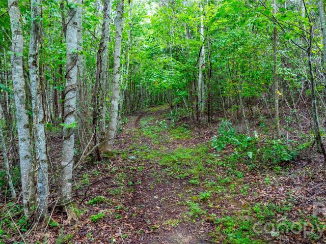 Land for sale in Fletcher, North Carolina