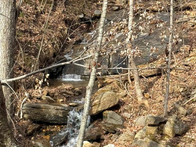 Land for sale in North Carolina