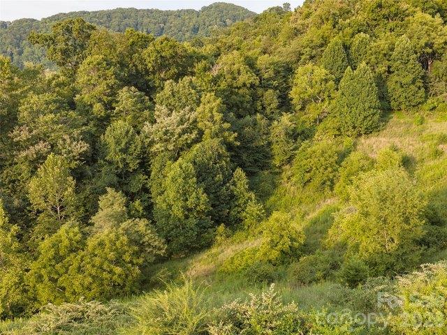 Land for sale in Candler, North Carolina