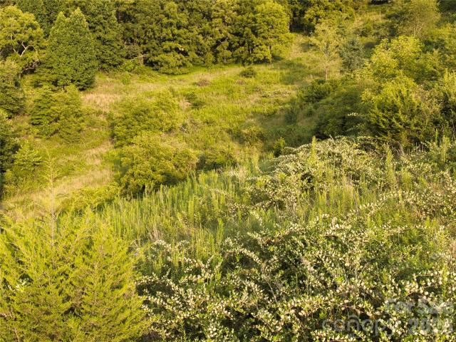 Land for sale in Candler, North Carolina