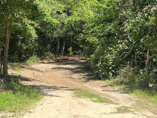 Land for sale in Centerville, Leon County