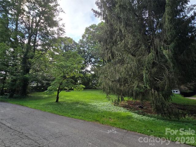 Land for sale in Candler, North Carolina
