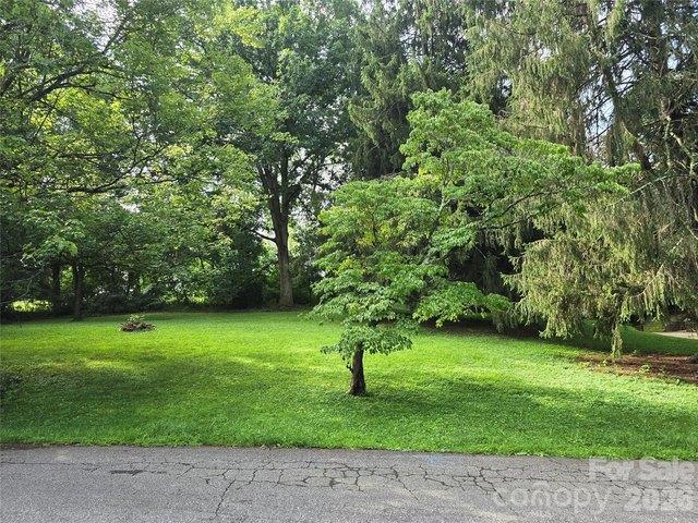 Land for sale in Candler, North Carolina