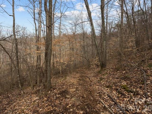 Land for sale in Haywood, North Carolina