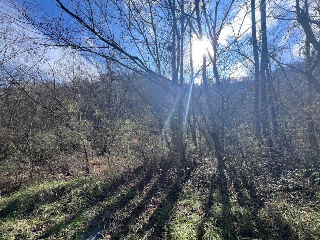 Land for sale in Martin, Kentucky