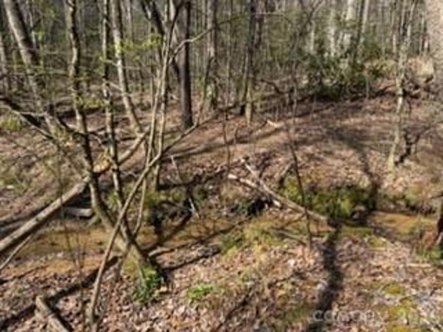 Land for sale in Transylvania, North Carolina