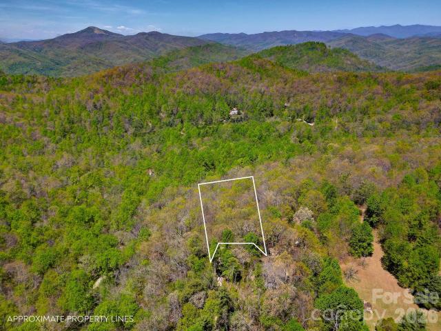 Land for sale in Black Mountain, North Carolina
