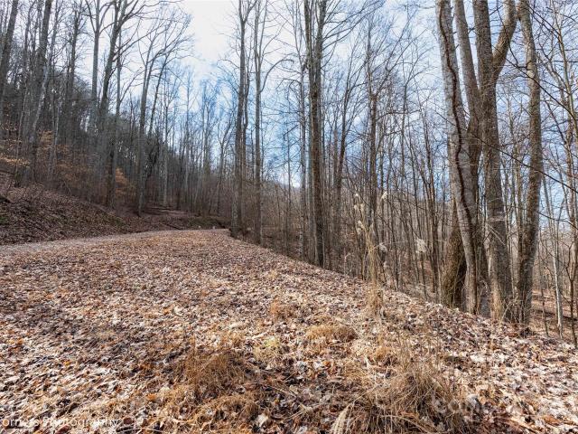 Land for sale in Mars Hill, North Carolina