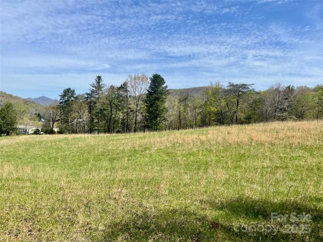 Land for sale in Candler, North Carolina