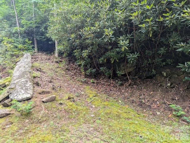 Land for sale in Montreat, North Carolina