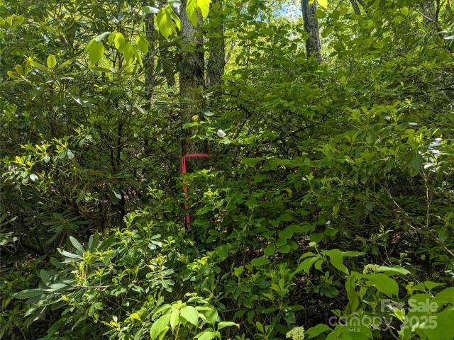 Land for sale in Black Mountain, North Carolina