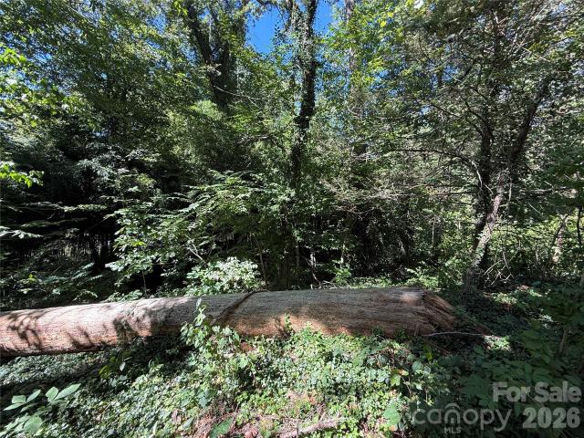 Land for sale in Biltmore Village, Asheville