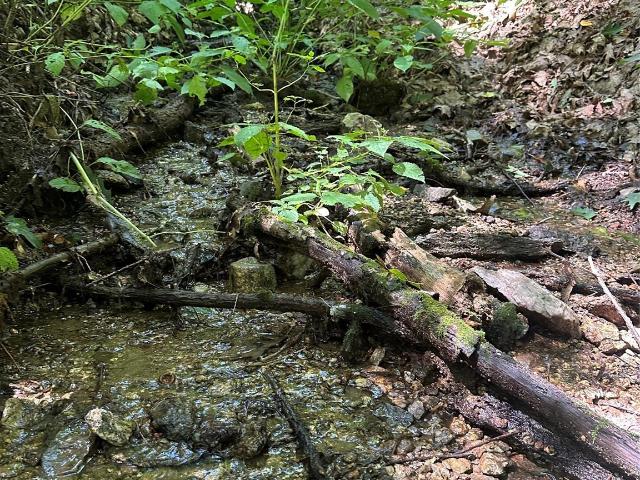Land for sale in Hot Springs, North Carolina