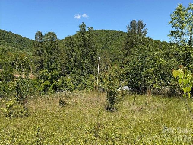 Land for sale in Candler, North Carolina