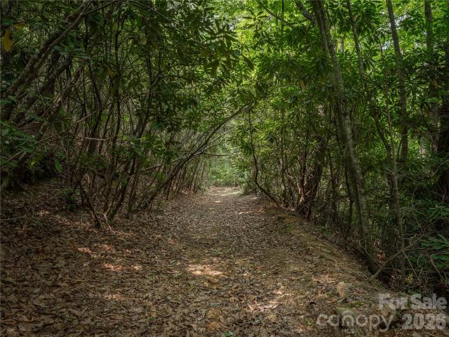 Land for sale in Candler, North Carolina