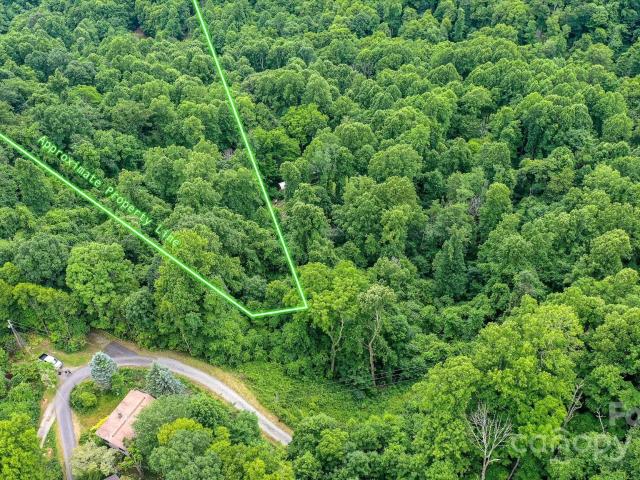 Land for sale in Marshall, North Carolina