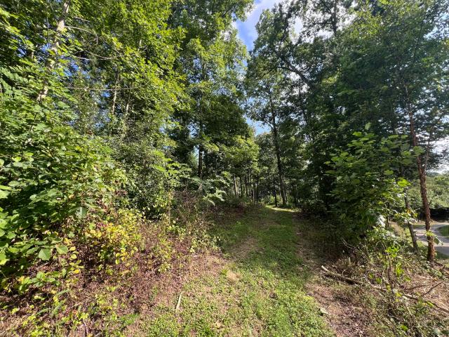 Land for sale in Pineville, Kentucky