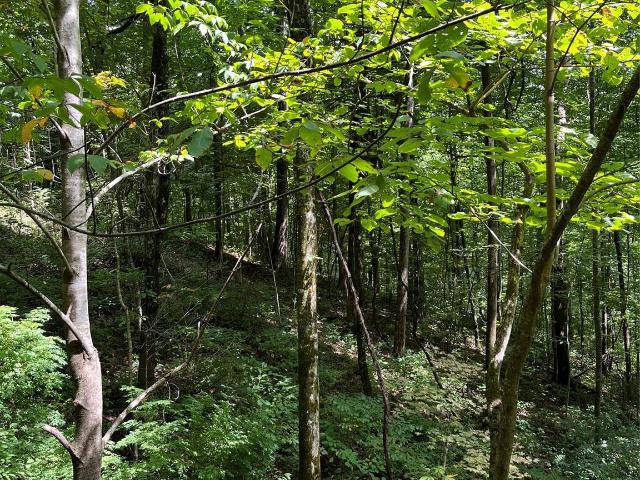 Land for sale in Haywood, North Carolina