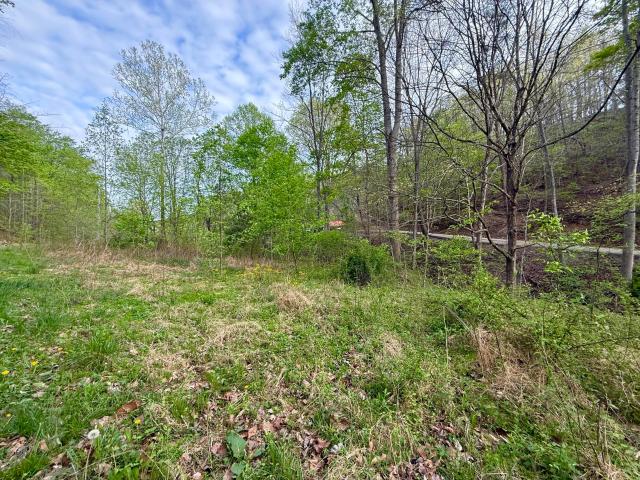 Land for sale in Irvine, Kentucky